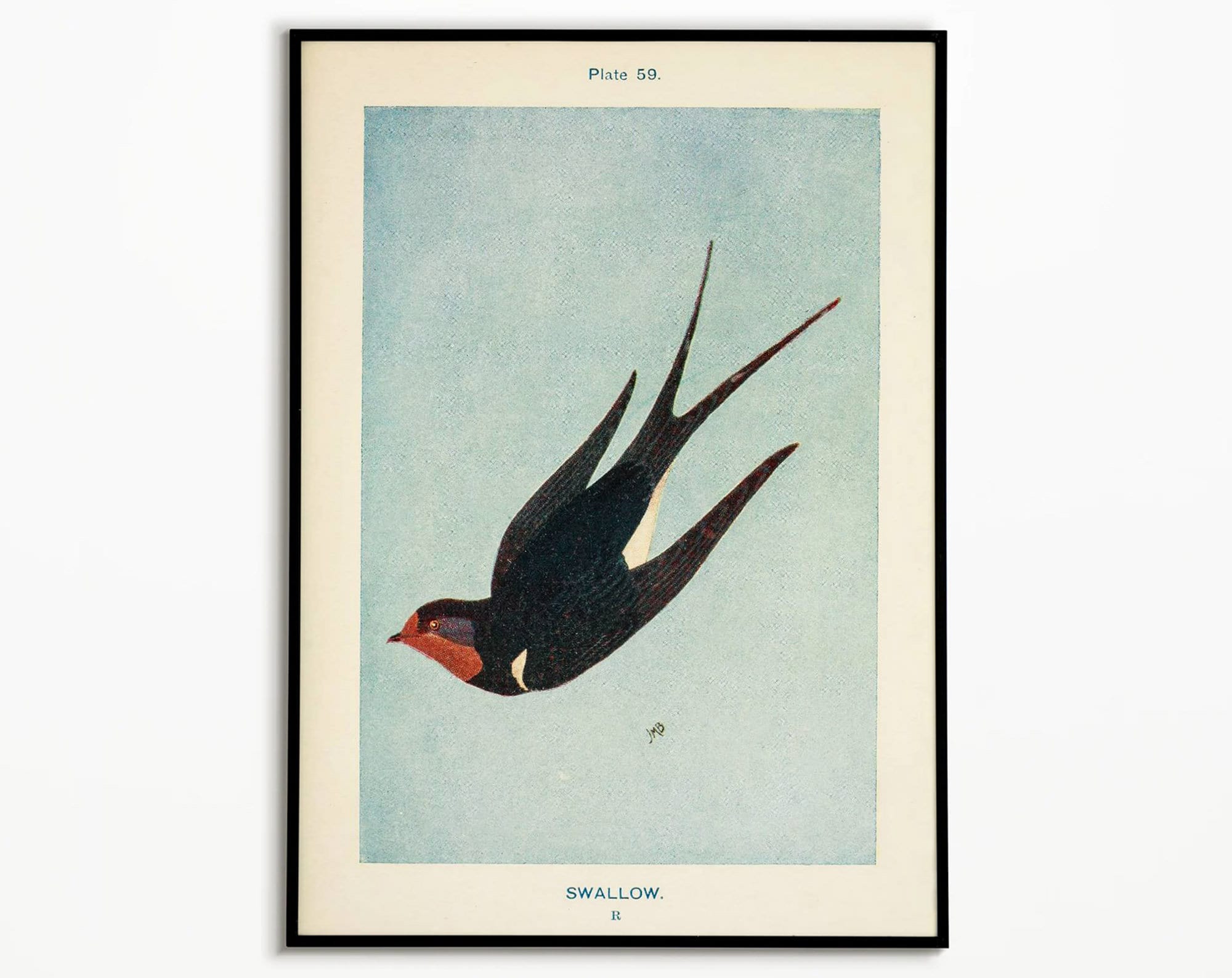 USA Vintage swallow canvas art キャンバスアート Amazon.com: SUDDENSUPPLY Vintage Swallow Print, Swallow Painting