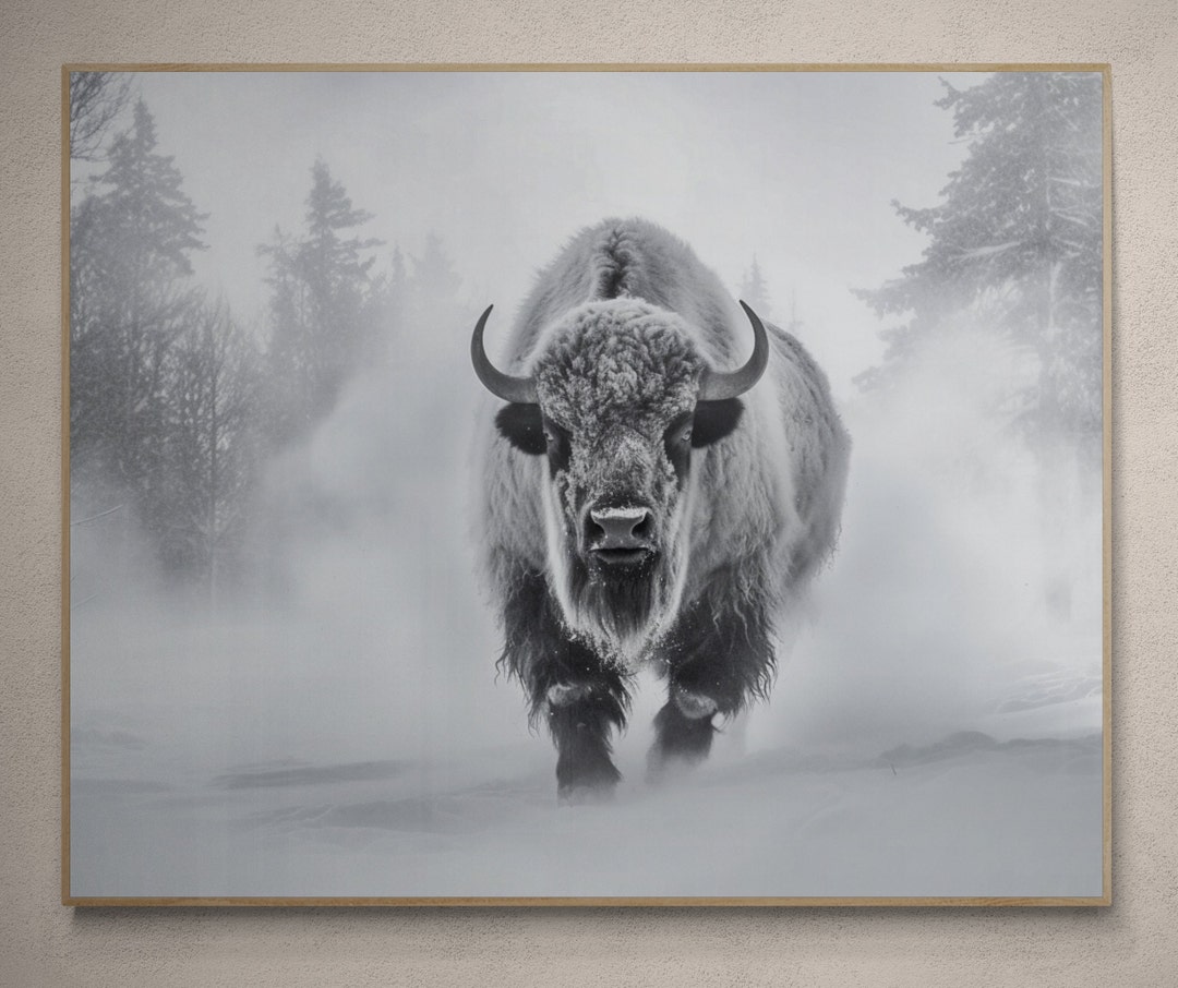 Snow Buffalo Printable Art Download Printable Wall Decor Printable Wall