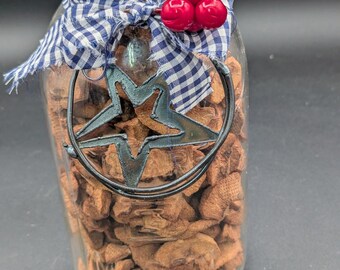 Primitive Farmhouse Dried Apples Jar | Rustic Mason Jar Decor with Star Hanger | Country Pantry Accent