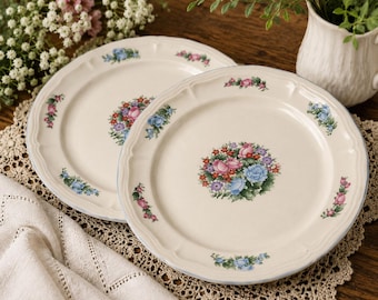 Spring Meadow Floral Stoneware Dinner Plates 10" Pink & Blue Roses Set of 2