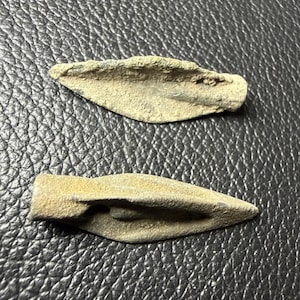 May include: Two antique, weathered, stone arrowheads. The arrowheads are a light tan color, with a leaf-like shape and a pointed tip. The surface of the arrowheads appears rough and textured, suggesting age and use. The background is a dark, textured surface.