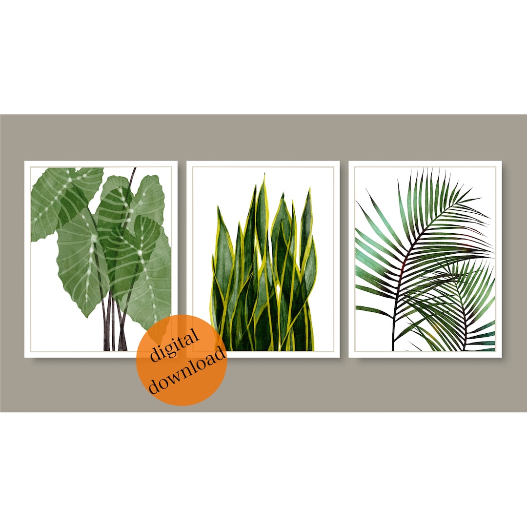 Greenery Gallery Wall Set of 3 | Leaf Wall Art | Succulent Printable ...