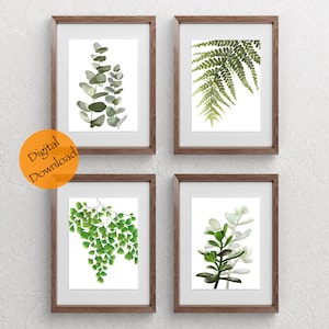 Gallery Wall Set of 4 | Houseplant Wall Art | Fern Prints | Botanical Print Set of 4 | Plant Wall Decor Eucalyptus Succulent Illustration