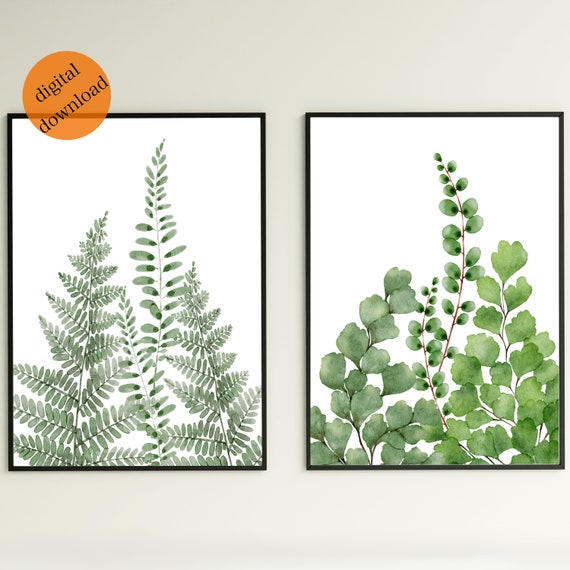 farne wintergrn Nadelfarn Polystichum munitum Immergrner Farn 70 cm