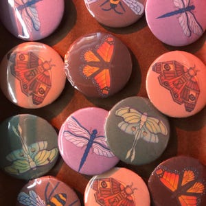 May include: A collection of 12 round, colourful pinback buttons featuring various insect illustrations. The buttons feature a variety of insects, including butterflies, moths, dragonflies, and a moth with long tails. The buttons are a mix of brown, green, pink, and orange.