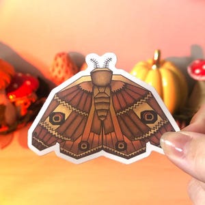 Emperor Moth Sticker | Die Cut Sticker | Water Resistant | Matt Finish | Goblincore | Insects | Cottagecore | Witchy | Saturnia Pavonia