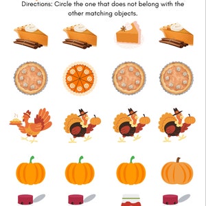 May include: A worksheet titled "Spot the Difference" with illustrations of pumpkin pie, whole pies, turkeys, pumpkins, and cranberry sauce. The directions ask to circle the object that does not belong. The text "@rainydayslearning" is at the bottom.
