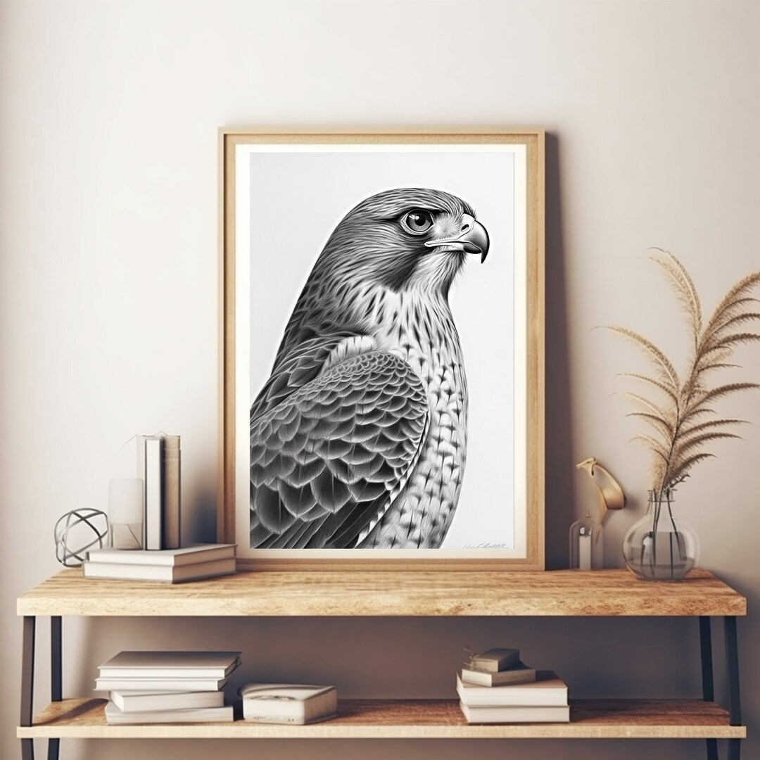 Colored Pencil Falcon Bird of Prey Instant Download Eagle Artwork Bald