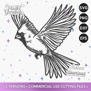SVG oiseau cardinal, Png, Dxf, eps, fichiers de découpe, téléchargement, Cricut Silhouette, clipart vectoriel, graphisme pour sublimation