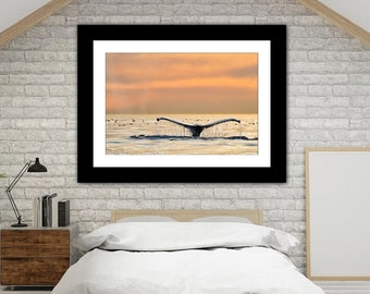 Humpback Whale Tail at Sunset Photo, Whale Tail Photography, Fine Art Ocean Photography Print, Beach House Wall Décor, Whale Print