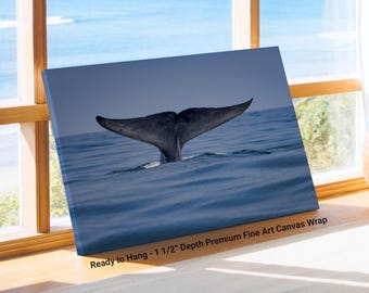 Blue Whale Tail Photo Print: Coastal Ocean Wildlife Art