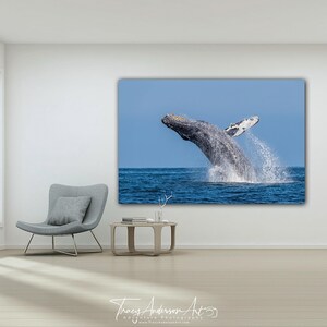 Breaching Humpback Whale Photo Print, Ocean Wildlife Wall Art, Coastal ...