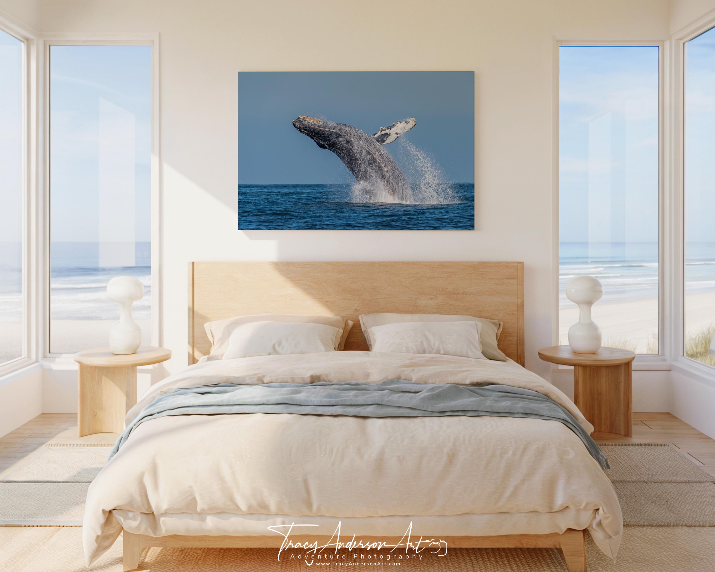 Breaching Humpback Whale Photo Print, Ocean Wildlife Wall Art, Coastal ...