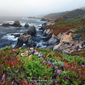 Big Sur Wildflower Wall Art, Soberanes Point Coastal Print, Garrapata Beach Photography, California Nature Decor, Ocean Cliff Landscape Art