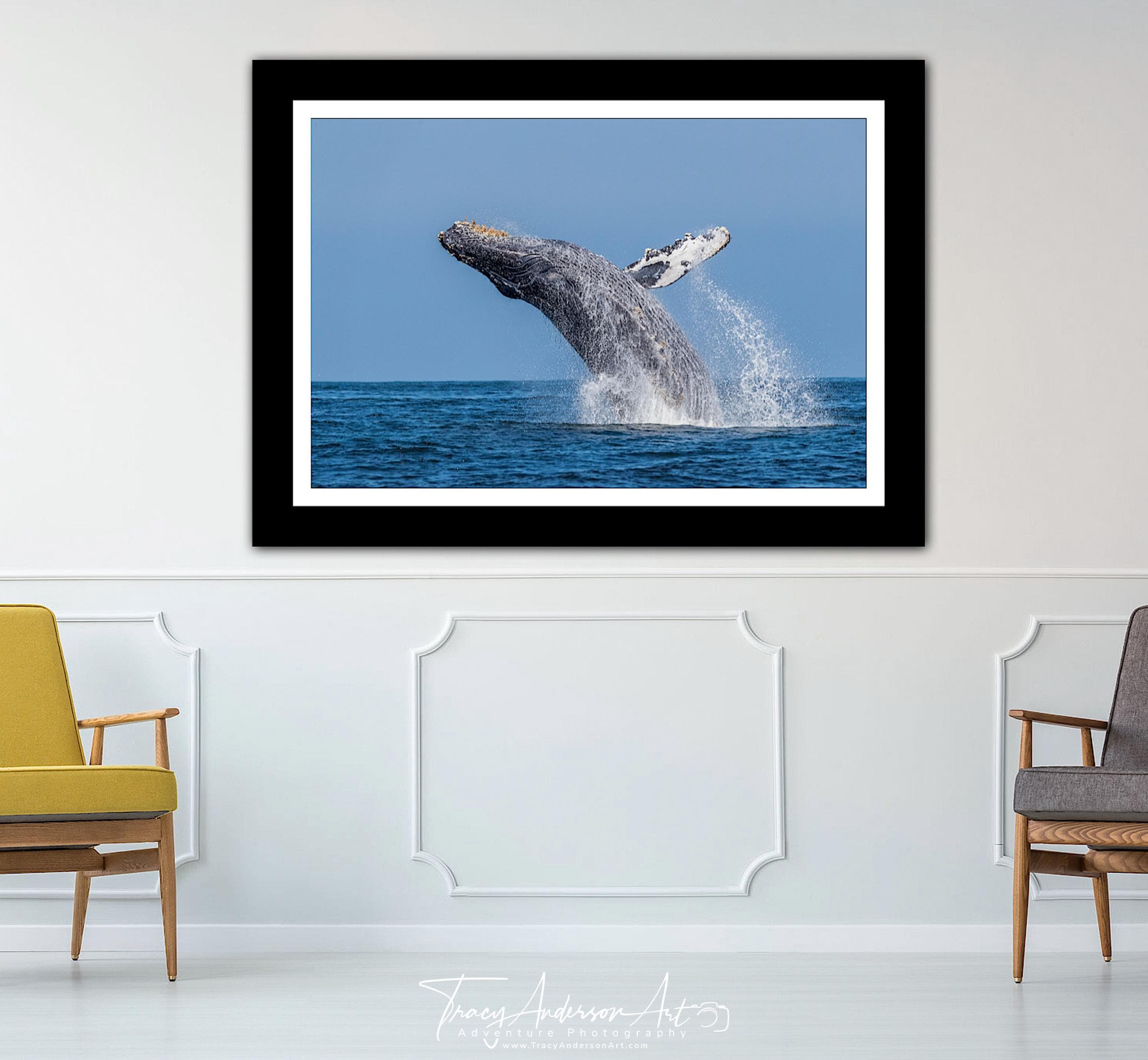 Breaching Humpback Whale Photo Print, Ocean Wildlife Wall Art, Coastal ...