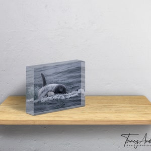 Frosty the Killer Whale Acrylic Block, Orca Whale Desk Decor, Ocean Wildlife Gift, Marine Animal Art, Coastal Home Decor, Whale Lover Gift