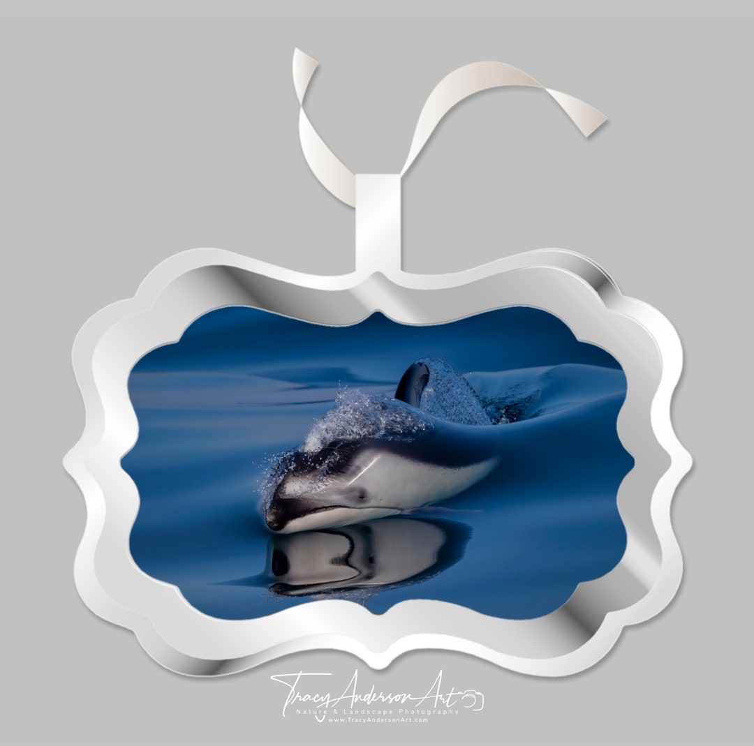 Dolphin Ornament With Silver Metal Frame and Red or White Satin Ribbon