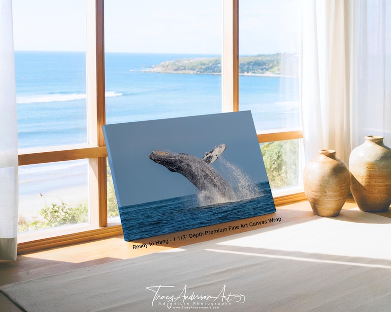Breaching Humpback Whale Photo Print, Ocean Wildlife Wall Art, Coastal ...