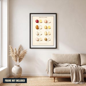 Puede incluir: Una lámina de arte mural enmarcada titulada THE SPUD CHART que presenta ilustraciones de varias variedades de patatas en forma entera y partida por la mitad, con etiquetas de texto descriptivas para cada una, en un marco negro sobre una pared clara.