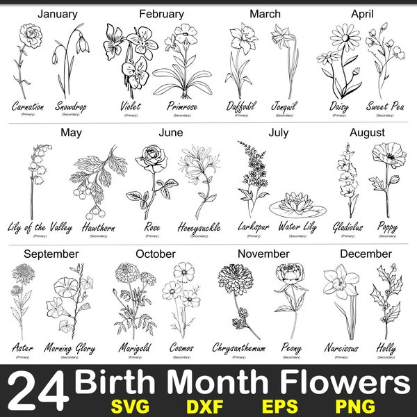 Birth Month Flowers Pack SVG | BirthMonth Flowers | Floral Svg | Botanical Svg | Clip-art | DXF Cricut | Rose Poppy Daisy PNG | Birthday