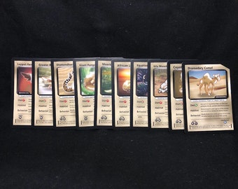 1000 random pokemon cards Bulk Cards are repackaged from varying sets. 1000 Pokemon cards lot ALL