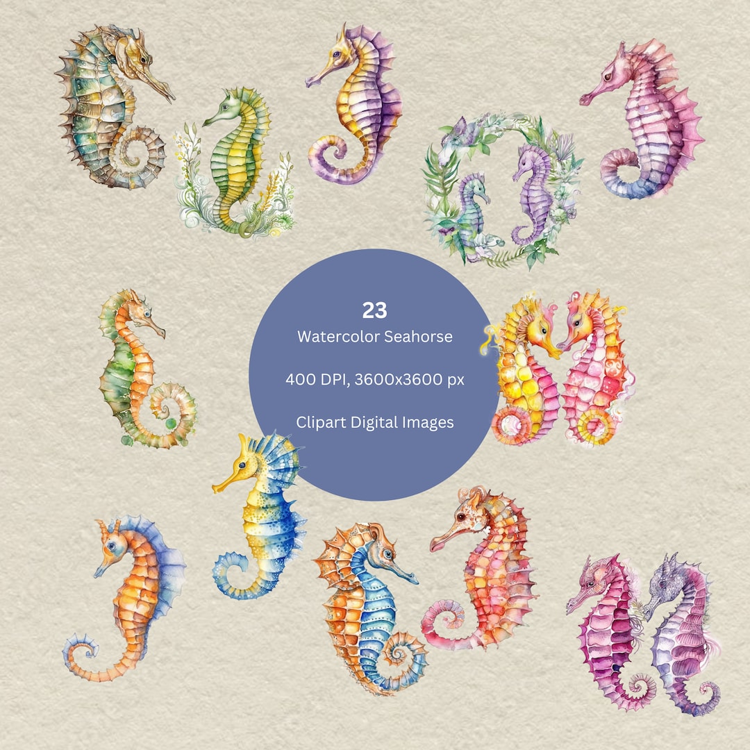 Watercolor Seahorse Clipart Cute Nautical Multicolored Ocean - Etsy