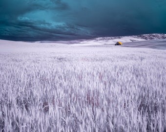 Colorized Infrared photograph of farmland