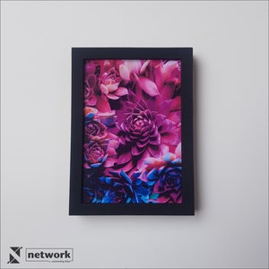 May include: A framed print of a close-up of pink and blue succulent flowers.