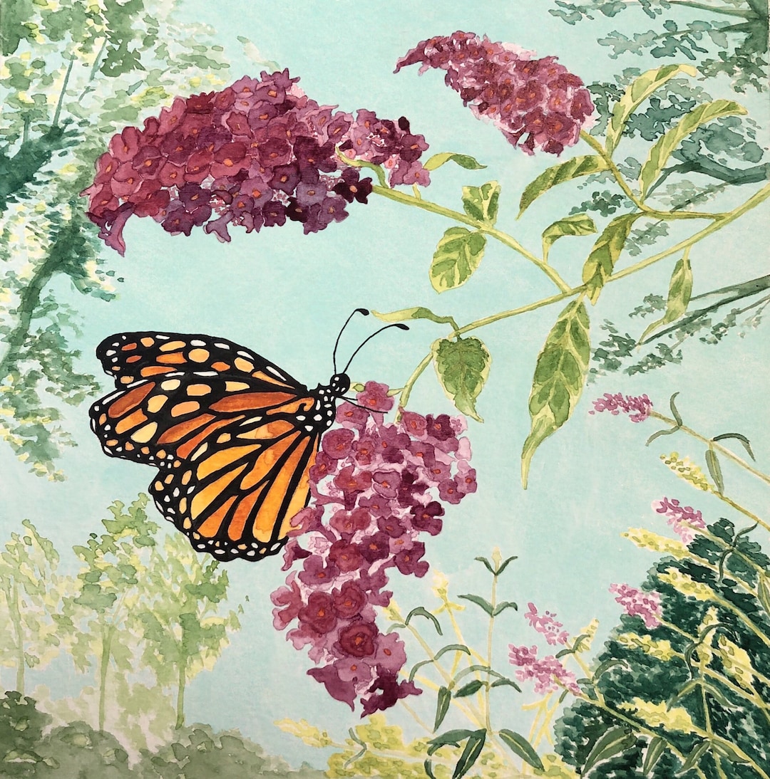 Monarch Butterfly Art Print - Watercolor Art Print - Watercolor ...