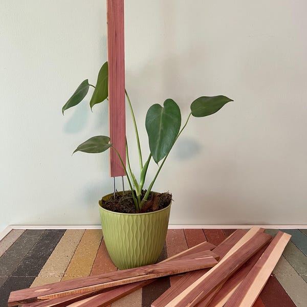 Cedar Plant Climbing Stakes - Wood Craft Planks - Garden Markers