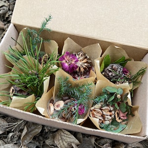 May include: A set of six small paper cones filled with dried flowers, leaves, and other natural elements. The cones are arranged in a cardboard box.