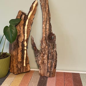 May include: Two pieces of natural wood decor. One piece is tall and slender, with a light-colored stripe. The other piece is a textured, gnarled shape. A potted plant with green leaves is visible on the left.