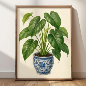 Könnte beinhalten: Ein gerahmter botanischer Druck, der eine leuchtend grüne Philodendron-Pflanze mit großen, herzförmigen Blättern zeigt. Die Pflanze steht in einem runden, weißen Keramikgefäß, das mit komplizierten blauen Blumenmustern und Ranken verziert ist.