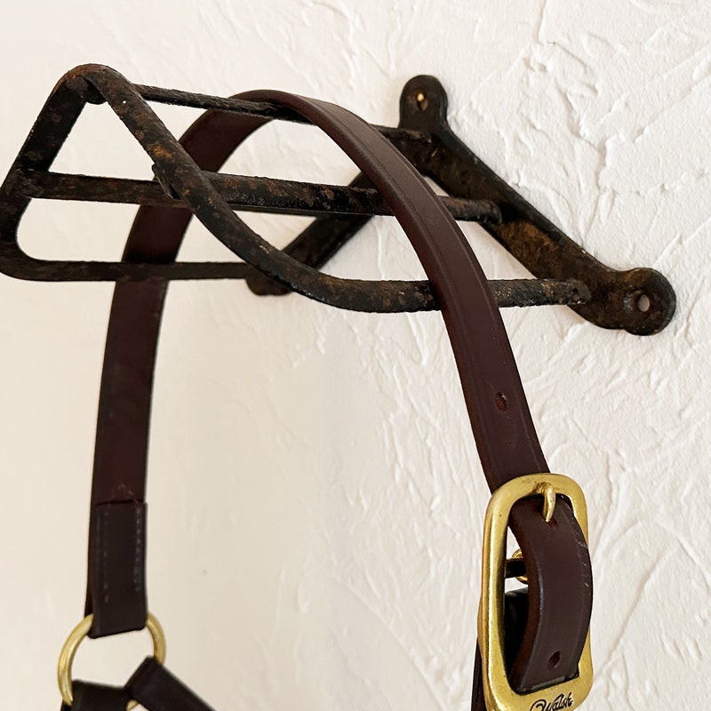 Classic Equine Arena Shelf with Bridle Hooks