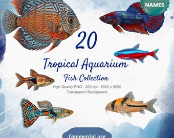 CON NOMBRES - Paquete de imágenes prediseñadas de peces de acuario, conjunto PNG de peces tropicales, imágenes prediseñadas de peces de agua dulce, descarga digital, imágenes transparentes