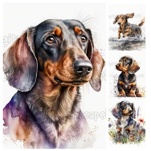 Dachshund Clipart Bundle | 17 High Quality JPGs | DIGITAL DOWNLOAD | Watercolor | Junk Journaling, Card Making | Commercial Use