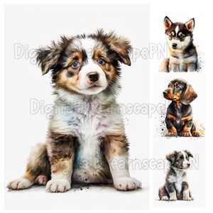Various Puppys Clipart Pack | 20 High Quality JPGs | Set 1 | Watercolor | DIGITAL DOWNLOAD | Digital Paper Craft, Card Making, Junk Journals