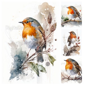 Pacchetto di clipart Robin dell'acquerello / 16 PNG di alta qualità / Download digitale / Creazione di carte, Mestiere di carta digitale, Media misti, Clip Art Commerciale