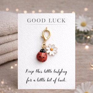 Schlüsselanhänger Marienkäfer – Ladybug Keychain Geschenk – Good Luck Anhänger mit Karte – süßes Geschenk für Mama, Freundin, Glücksbringer