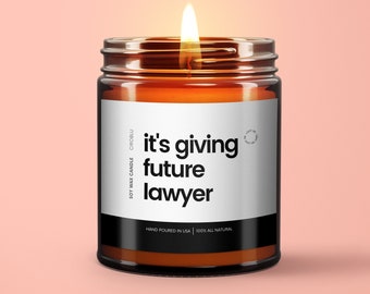 You Took The Bar Custom Lawyer Gift For New Lawyer Candle Gift For Lawyer Becoming a New Lawyer Gift Idea Graduation Gift For Laywer