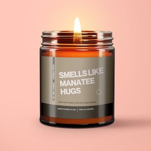 Manatee Hugs Candle Manatee Gift Manatee Mother&#39;s Day Gift Soy Candle Gift Marine Biology Gift Florida Animals Respect The Locals