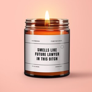 Gift For Future Lawyer Candle In This Bitch Soy Wax Candle Funny Lawyer Gift Law School Acceptance Bar Exam Gift Eco Friendly 9oz. Candle