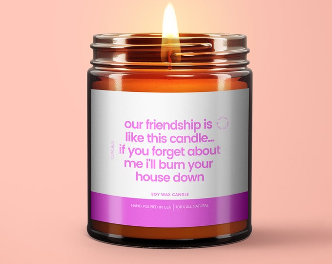 Friendship candle, Best Friend Gift, Friendship Gift, Friend Gift, Our Friendship is Like This Candle, Funny Friend Gift, Candle for Friend