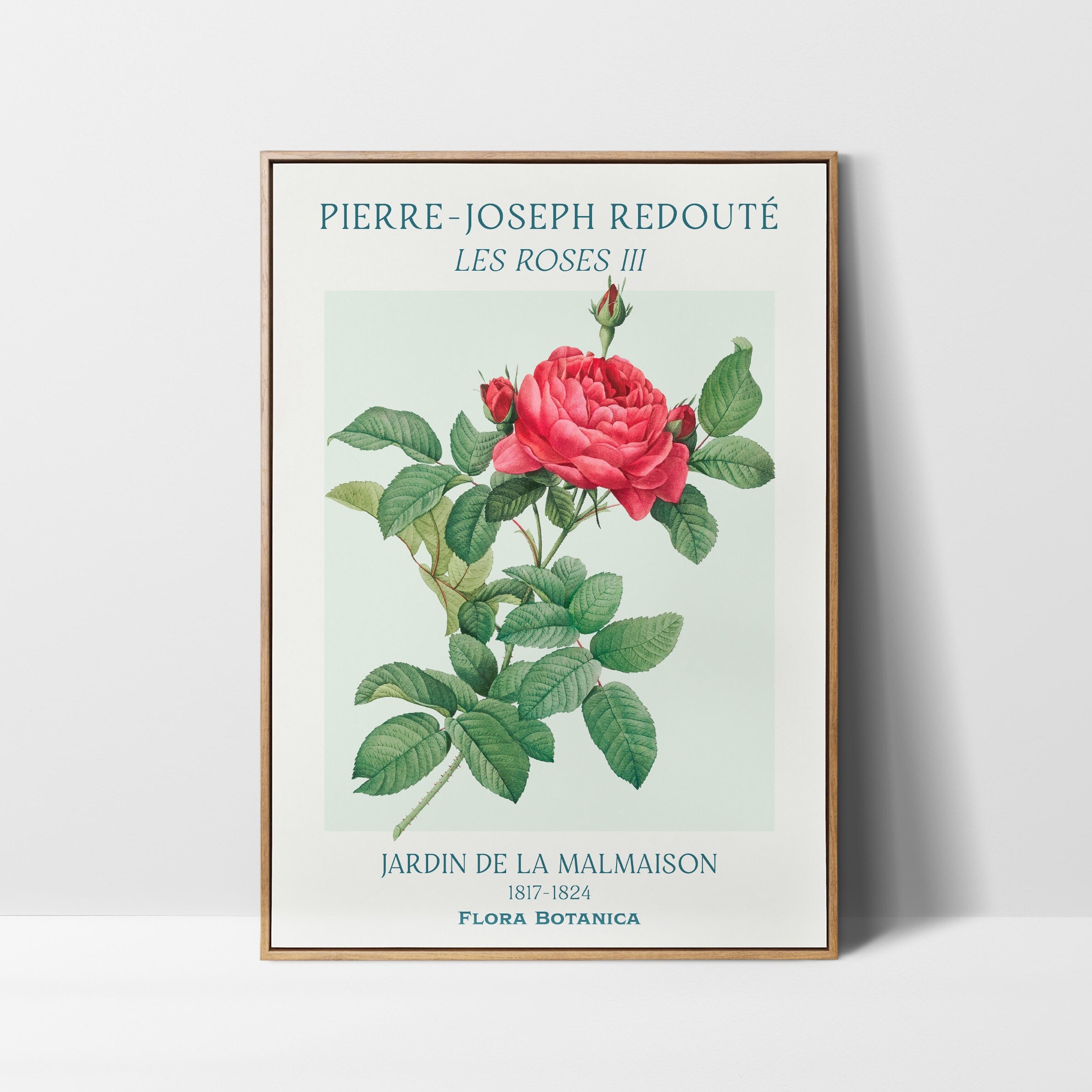 Vintage Rose Art Print: Pierre-joseph Redouté Floral Botanical