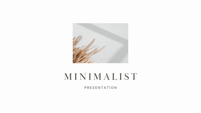 May include: A minimalist presentation design featuring a close-up of dried beige grasses against a white background with a shadow.