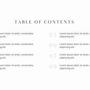 May include: Table of contents with numbered headings from 01 to 08. Each heading is followed by a line of text that reads "Lorem ipsum dolor sit amet, consectetur adipiscing elit."