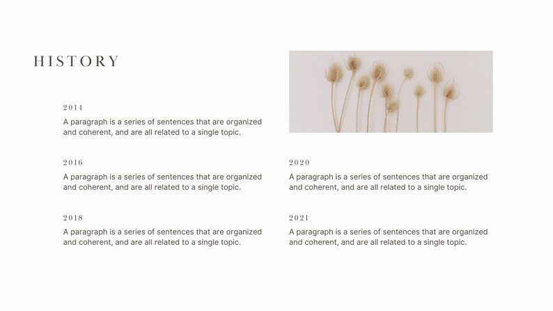 May include: A timeline of text with the years 2014, 2016, 2018, 2020, and 2021. Each year is followed by a description of a paragraph. The image also includes a photo of dried flowers.