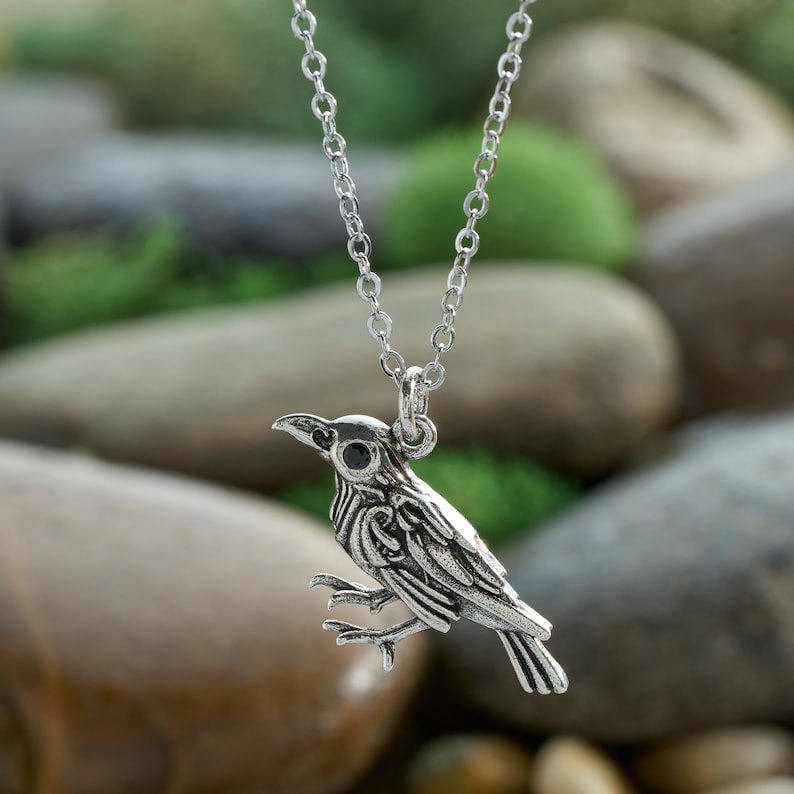May include: A silver-colored bird pendant necklace. The bird has detailed feather and wing designs, with a black gem eye. The necklace chain is also silver and hangs against a blurred background of rocks and greenery.
