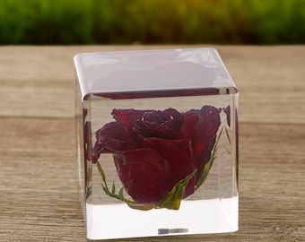 Dried Red Rose Paperweight, Romantic Dried Flower Decor, Meaningful Mother's Day and Valentine's Day Gifts, Beautiful Dried Rose Desk Decor