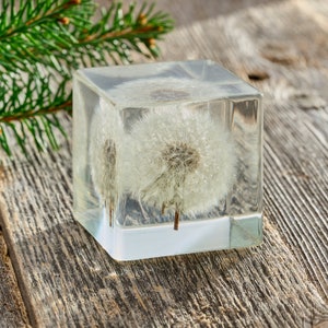 Dandelion Paperweight, Handmade Resin Art, Wish Cube Decor Paperweight, Desk Accessory, Preserved Flower Gift, Unique Gift for Nature Lovers